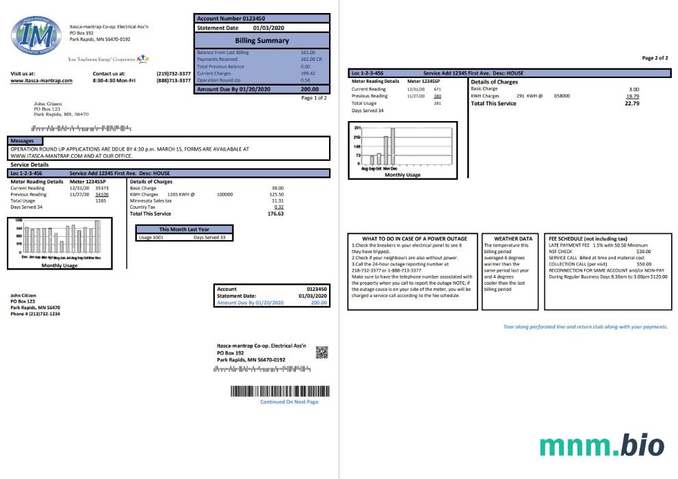 USA Minnesota Itasca-szablon rachunku za energię elektryczną Mantrap w formacie Word i PDF (2 strony)